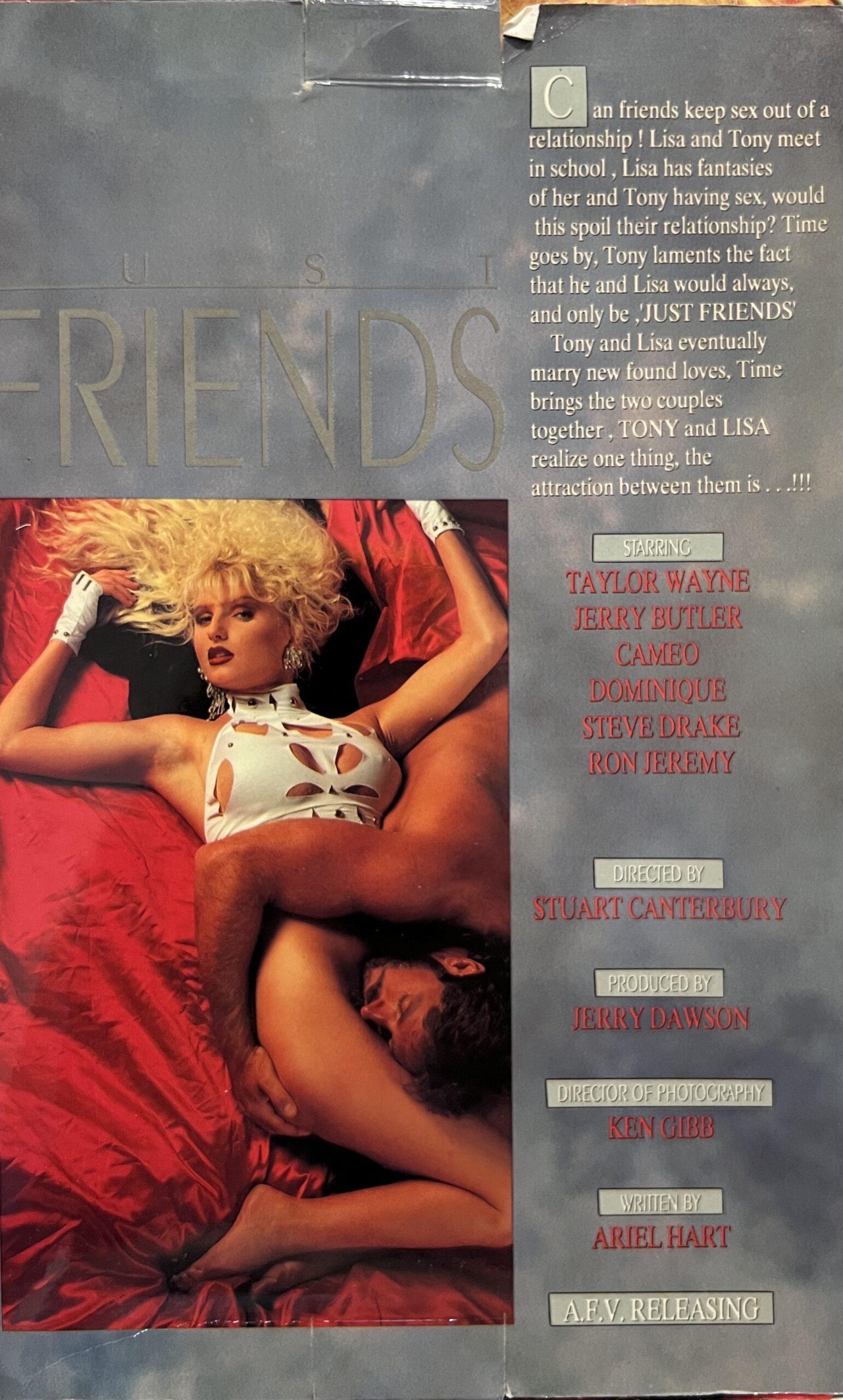 Just Friends 1992 Adult XXX VHS *Taylor Wayne* - Image 2