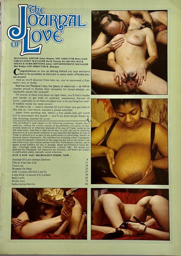 The Journal of Love 4/11 1981  UK Magazine - Image 2