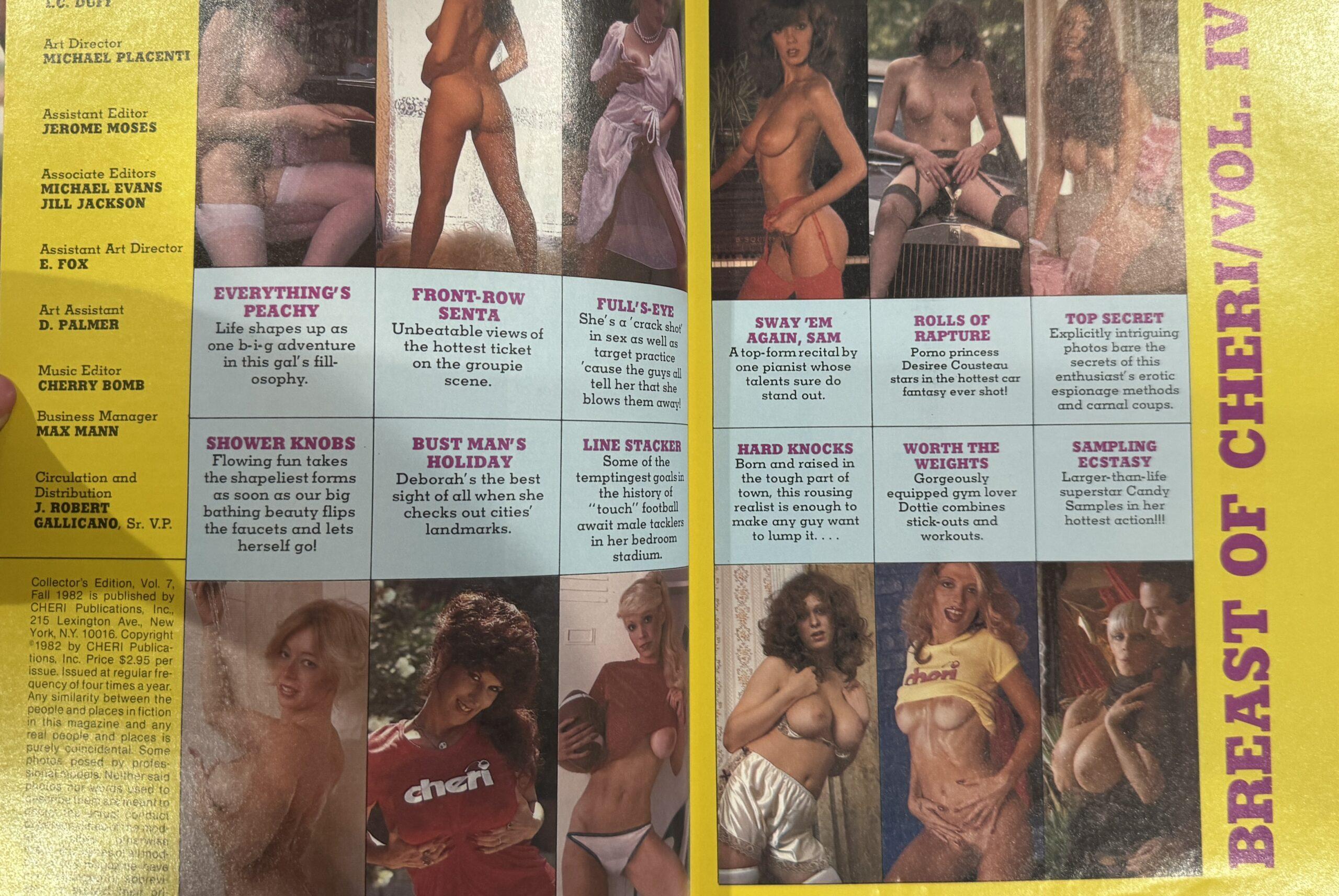 The Breast of Cheri #4 1982 *Candy Samples, Desiree Cousteau, & More!* ++ - Image 2