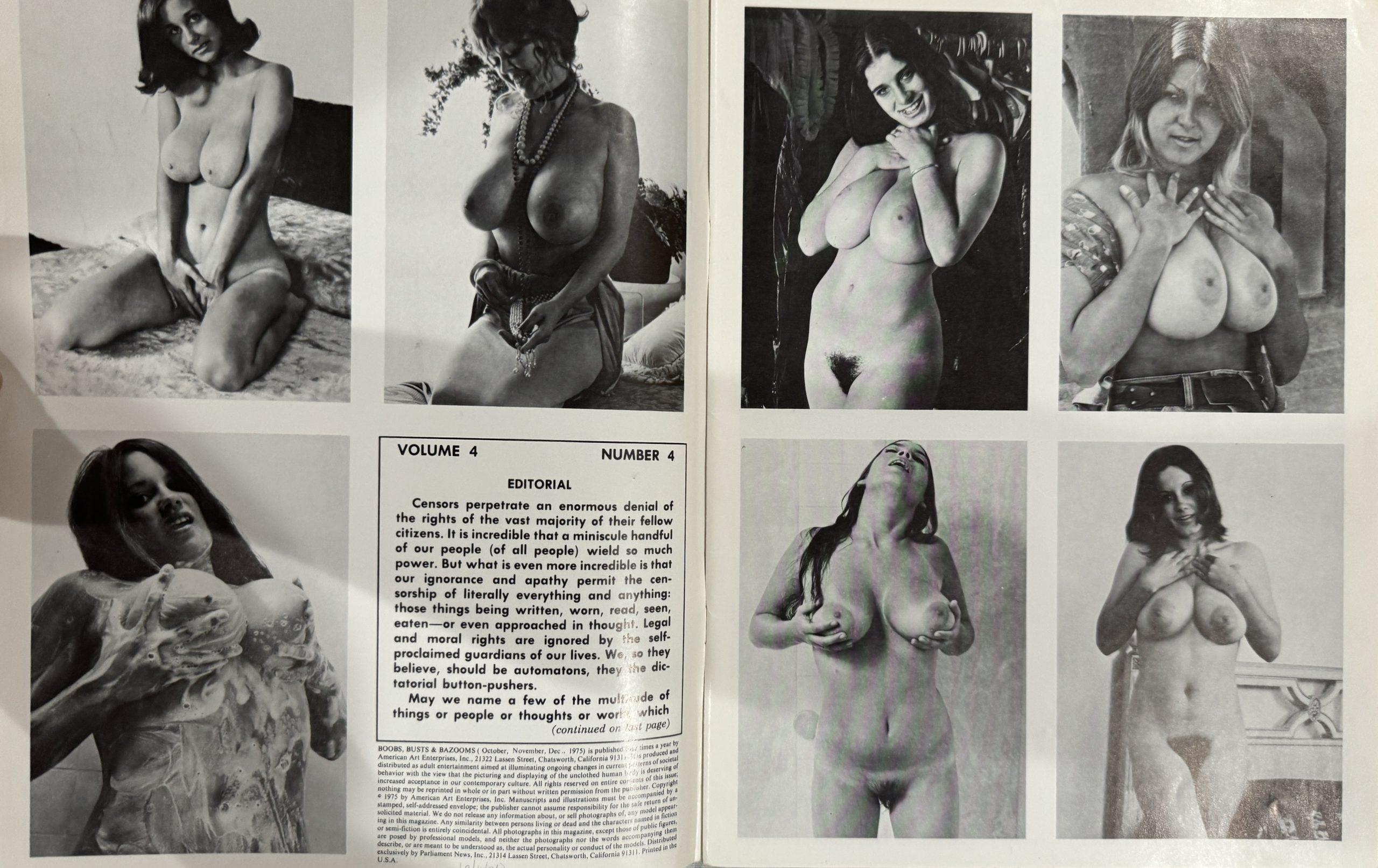 276 Boobs, Busts, & Bazooms 4/4 1975 *Uschi Digard, Roberta Pedon, Candy Samples, Karen Brown* A Parliament Publication - Image 2