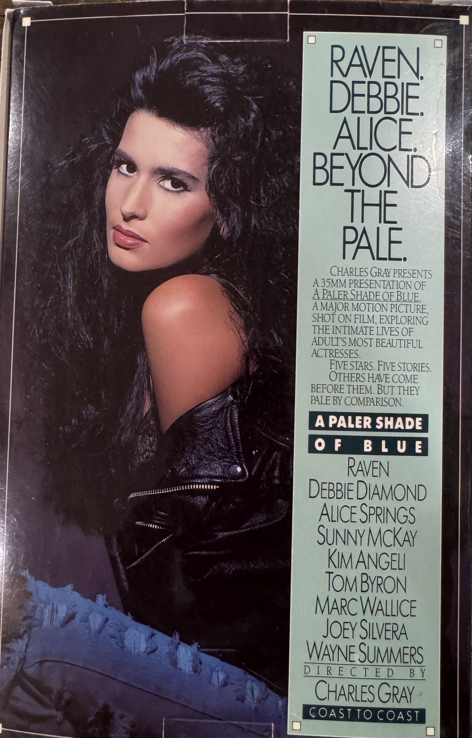 A Paler Shade of Blue 1991 VHS *Alice Springs, Debi Diamond, Joey Silvera, Kim Angeli, Marc Wallace, Raven, Sunny McKay, Tom Byron, Wayne Summers* - Image 2